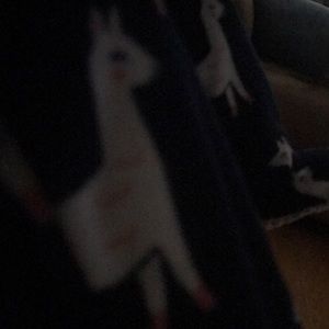 Meet your Posher, Imer